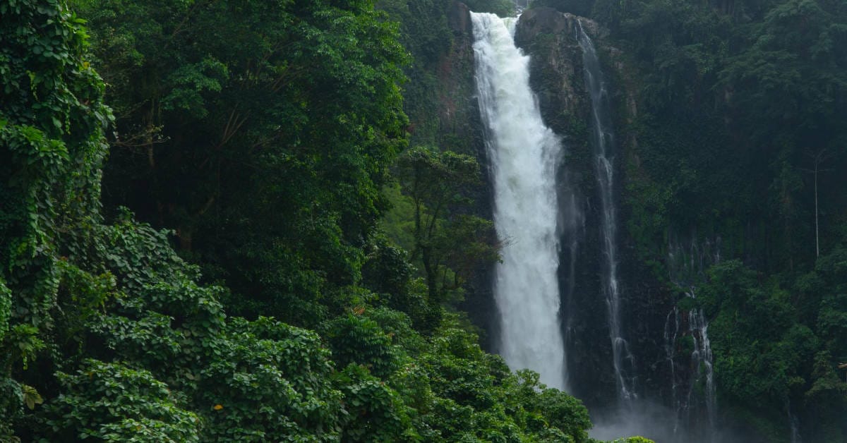 Tall waterfall cascading through lush Iligan foliage Dense greenery surrounds as mist rises at the base