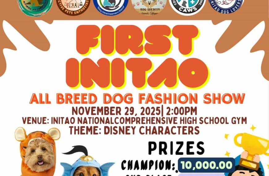a poster for a dog fashion show, featuring dogs in disney costumes and contest prize details.