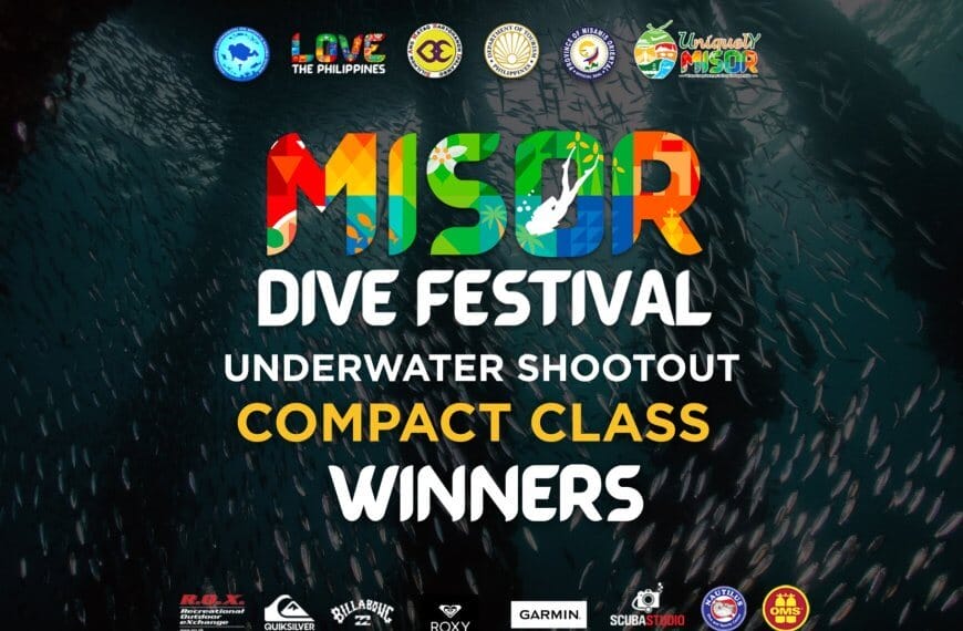 colorful misor dive festival underwater shootout compact winners text over a dark underwater fish background.