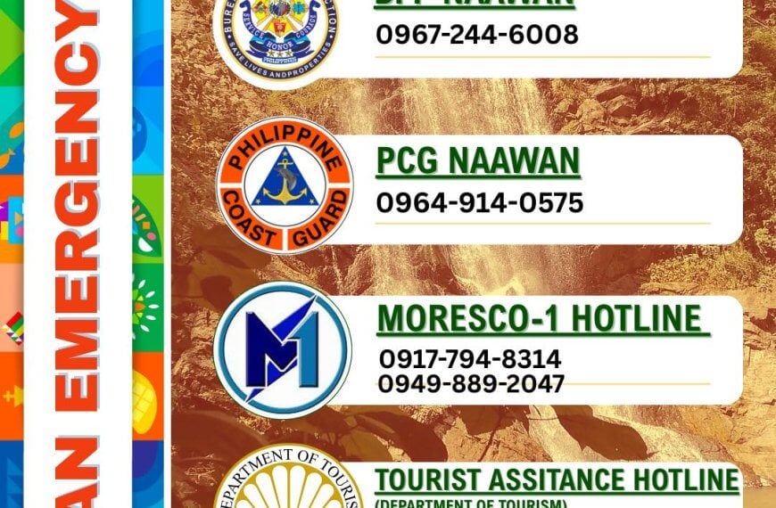 colorful vertical infographic listing naawan, philippines emergency hotlines with icons and phone numbers.