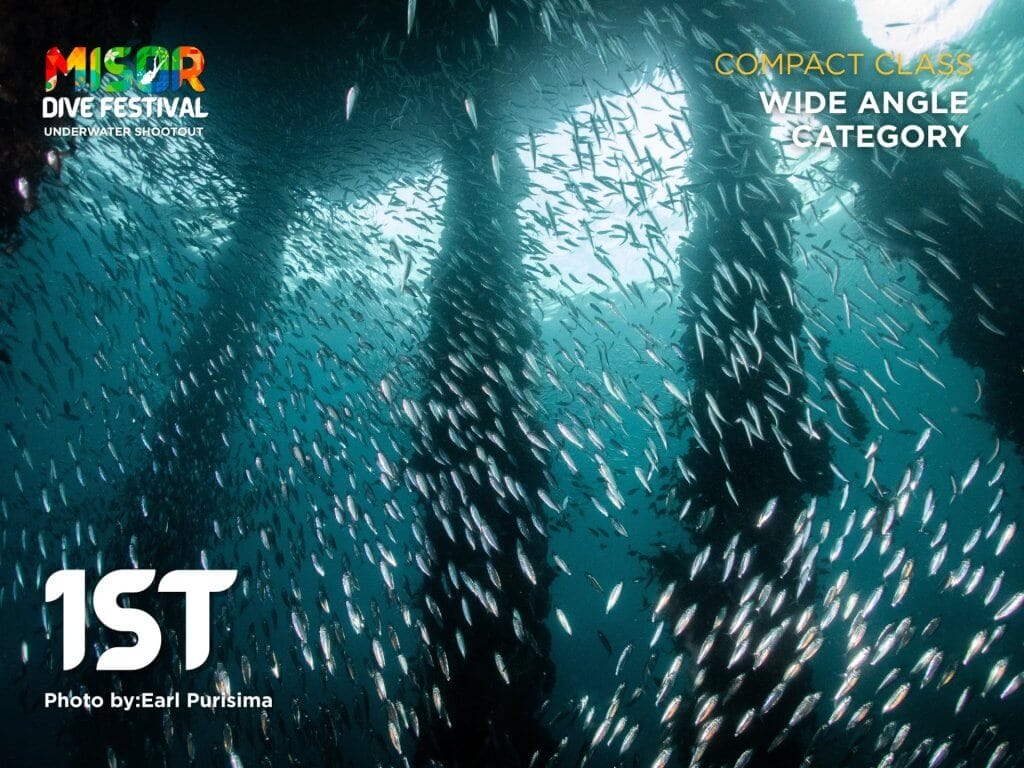 swarm of small fish swim beneath pier pilings, sunlight streaming in&mdash;perfect for compact photographers.